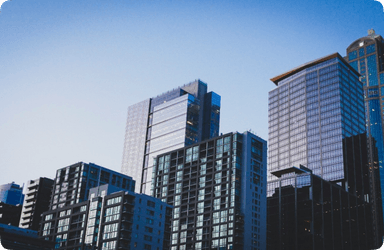 Real Estate Industry